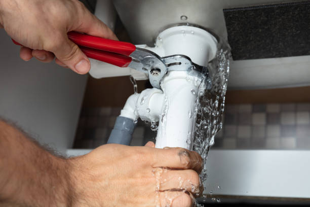 Best Mold removal after water damage  in Boothwyn, PA