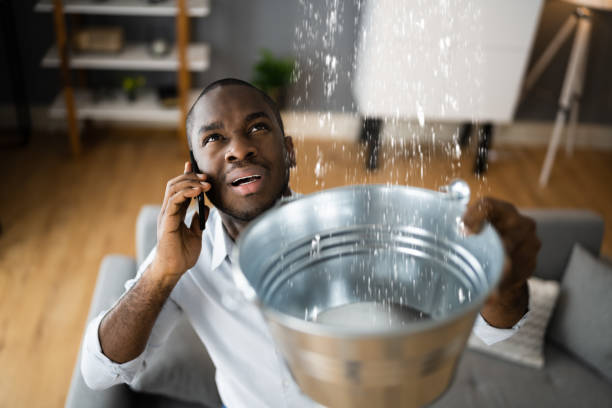 Best Ceiling water damage repair  in Boothwyn, PA