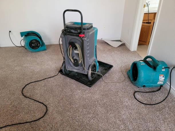 Best Water damage restoration near me  in Boothwyn, PA