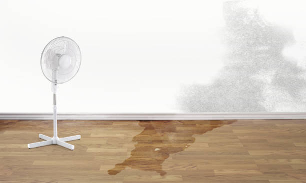 Best 24/7 water damage repair  in Boothwyn, PA