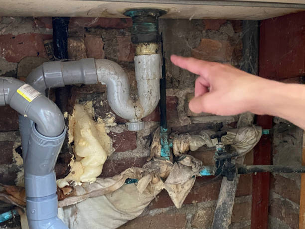 Best Water damage contractors near me  in Boothwyn, PA
