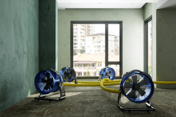 Best Local water damage restoration  in Boothwyn, PA