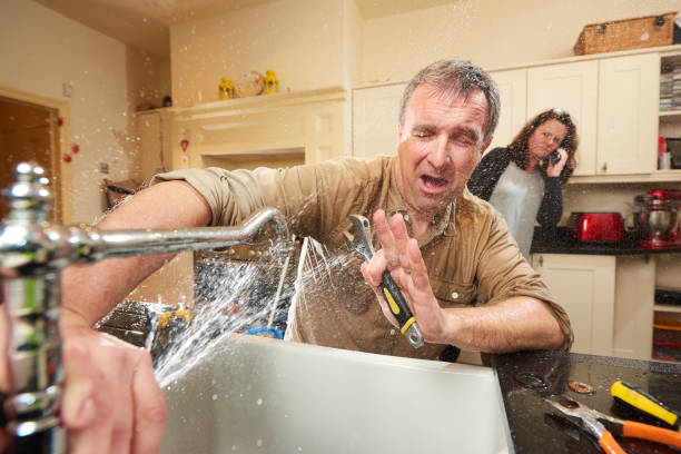 Best Carpet water damage restoration  in Boothwyn, PA